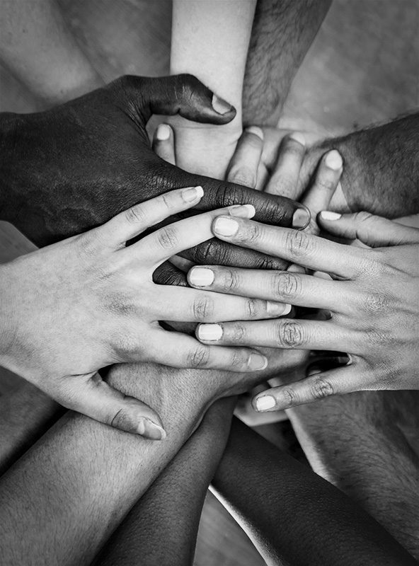 Understand Your Ideal Client & Download Workbook