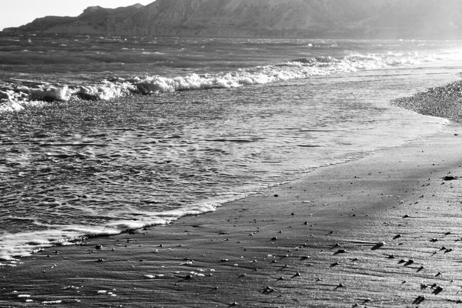 Business reflections and the power of the ocean.