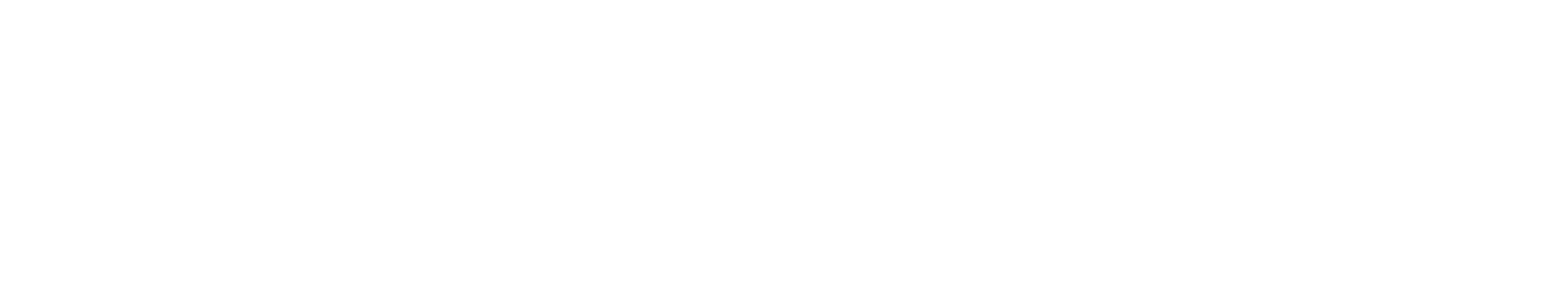 Pursu Agency
