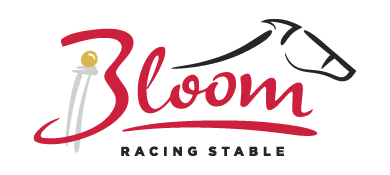 A Custom Client Logo Design for Bloom Racing Stable